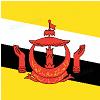 U19 Brunei logo