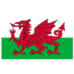 Nữ Wales U19 logo