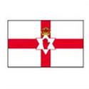 U17 Nữ Bắc Ireland logo