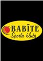SK Babite logo