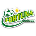 Nữ Fortuna Hjorring B logo