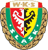 Slask Wroclaw Youth logo