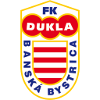 Dukla Banska Bystrica U19 logo