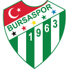 U19 Bursaspor logo