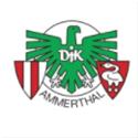 DJK Ammerthal logo