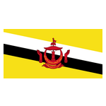 Brunei logo