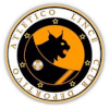 CD Atletico Lince (W) logo