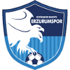Erzurum BB U19 logo