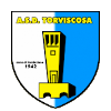A.S.D. Torviscosa logo