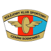 Nữ Czarni Sosnowiec logo