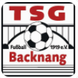 TSG Backnang logo