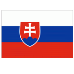 U19 Nữ Slovakia logo