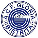 FC Gloria Bistrita logo