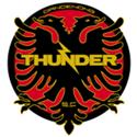 U20 Dandenong Thunder logo