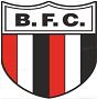 Botafogo B SP logo