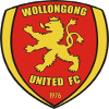 Wollongong United logo