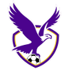 Nữ Boroondara Eagles logo
