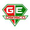 Gremio Osasco Youth logo