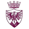 Borgosesia logo