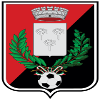US Fiorenzuola logo