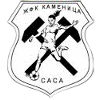 ZFK Kamenica Sasa (W) logo