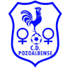 CD Pozoalbense (W) logo