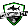 Prachinburi City logo