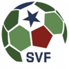 SV Feldkirchen logo