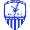 Falcons FC logo