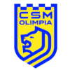 CSM Satu Mare logo