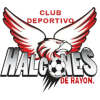 CD Halcones de Rayon logo